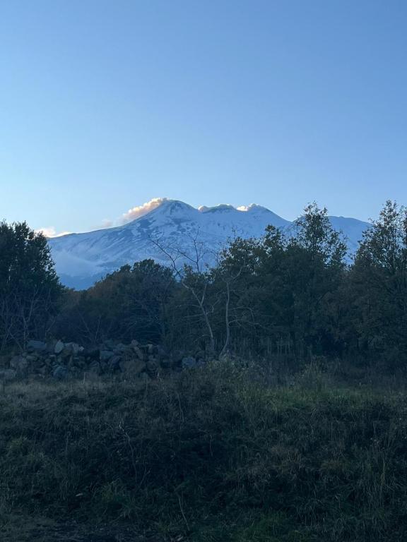 Etna 1928 Country House - Area esterna con vegetazione tipica siciliana e atmosfera rilassante